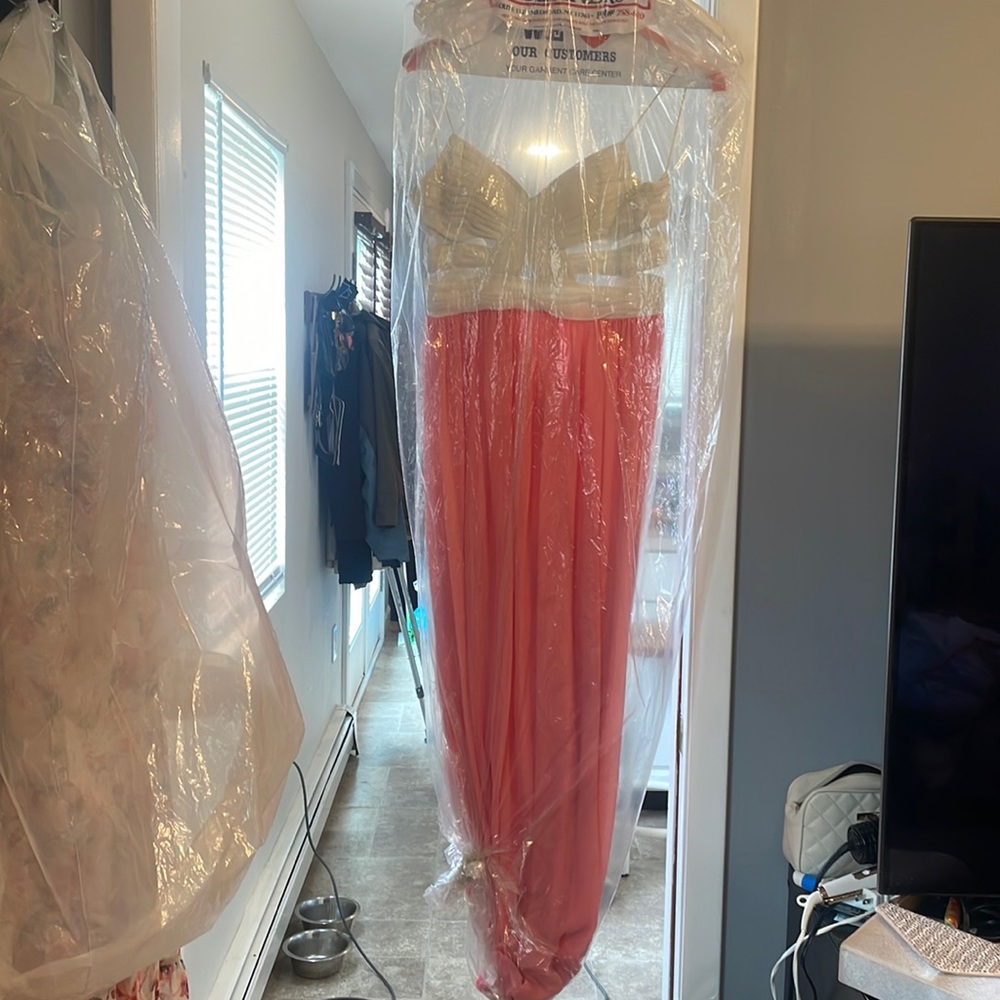 Pink Hailey Logan by Adriana Papell dress 5/6